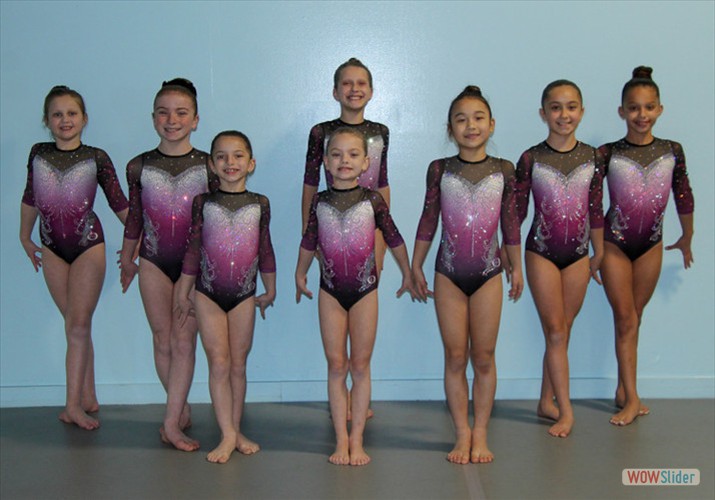 Competitive Gymnastics McKeon Dance and Gymnastics Tap, Jazz
